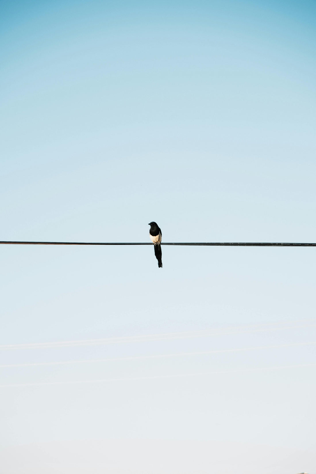 Ego – The Greatest Obstacle