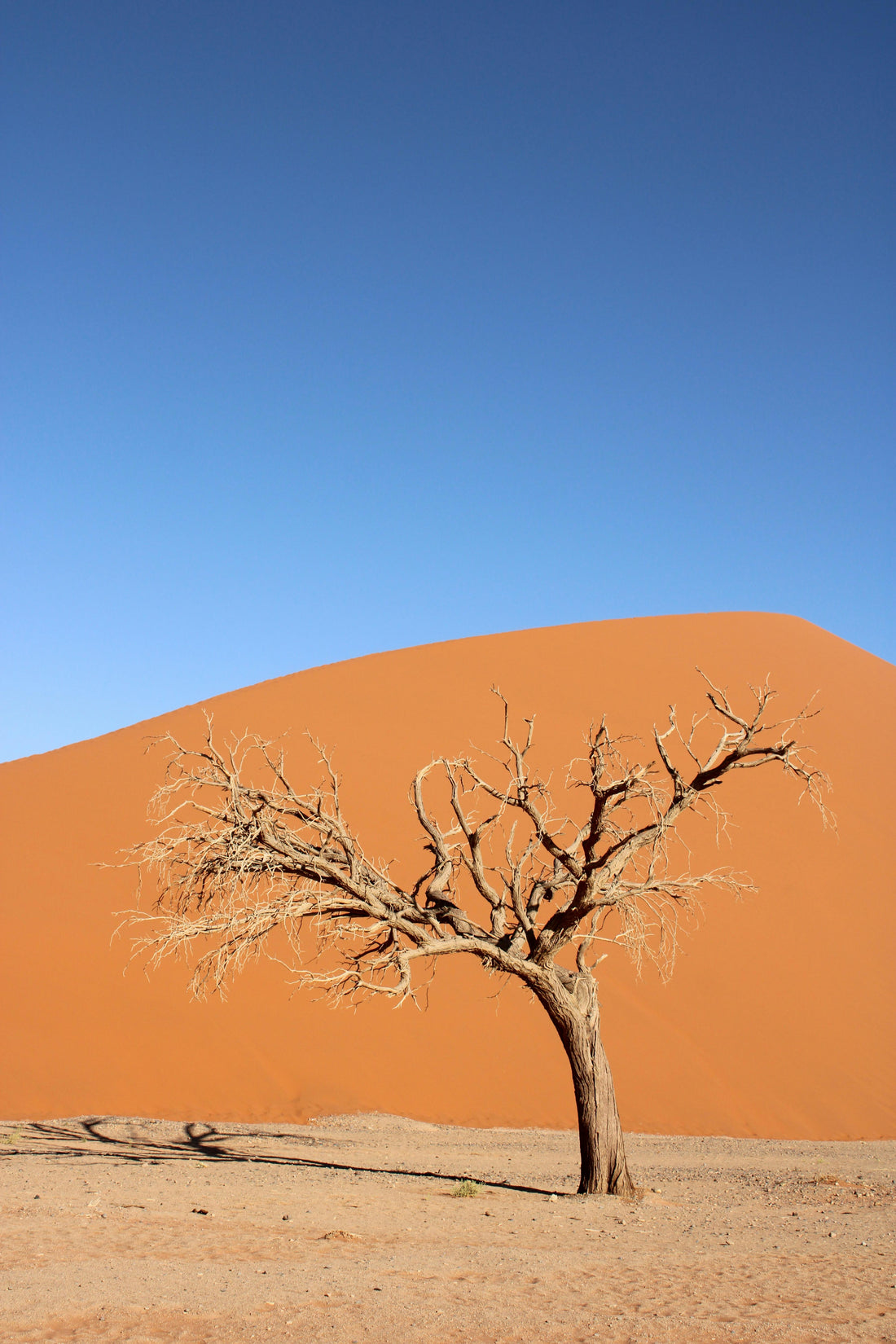 The Inescapable Truth of Karma