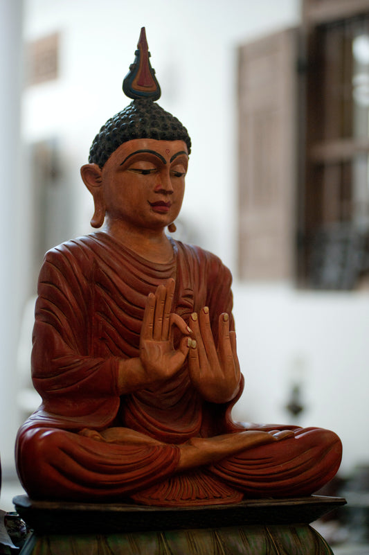 What is a yogic lifestyle?