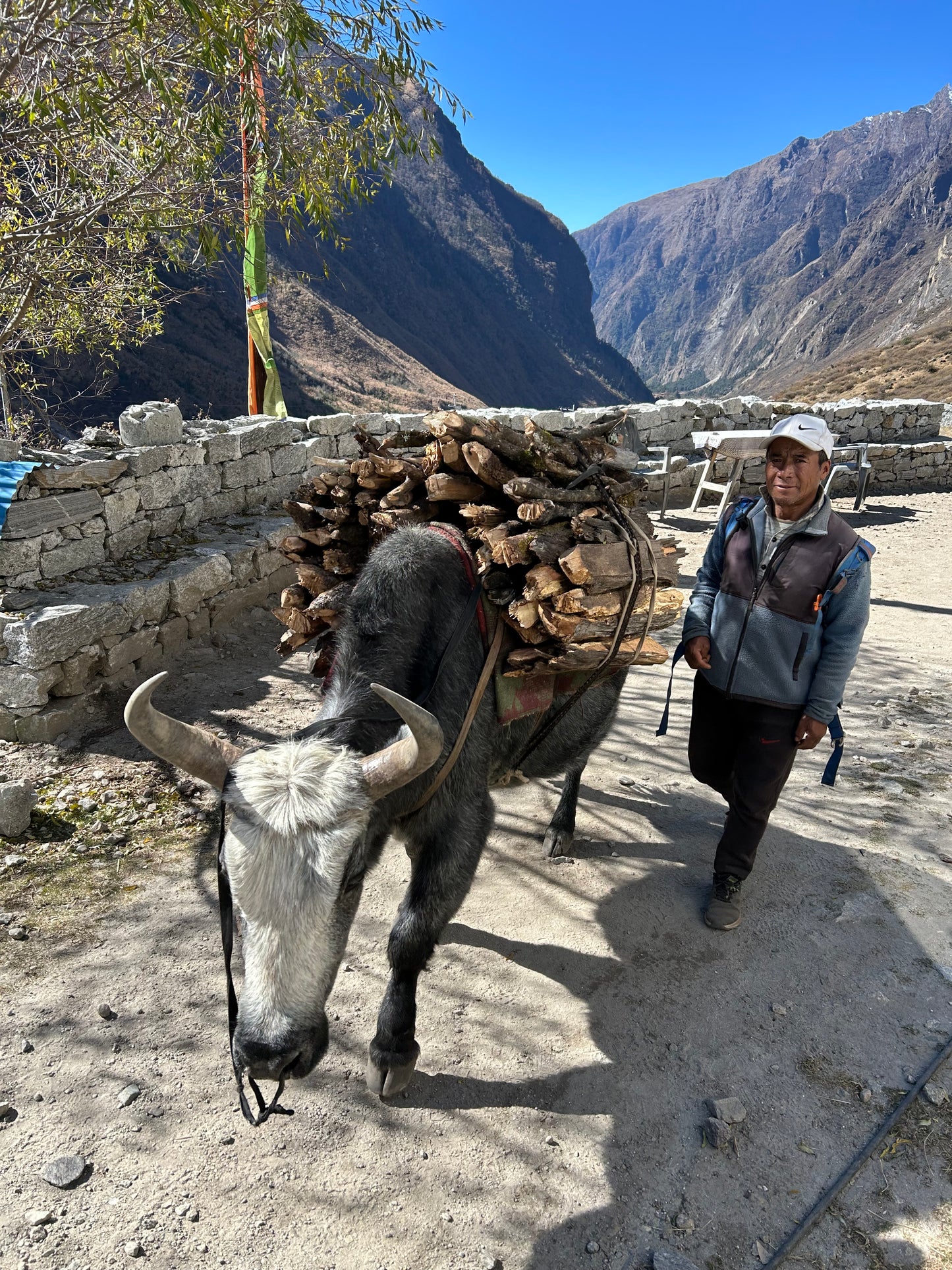 Langtang Expedition: 10 dní v srdci Himalájí. DEPOZIT