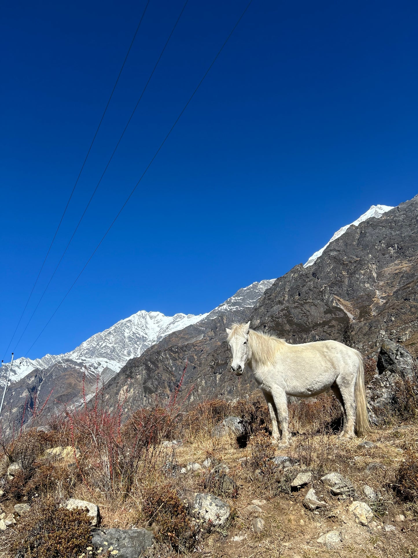 Langtang Expedition: 10 dní v srdci Himalájí. DEPOZIT
