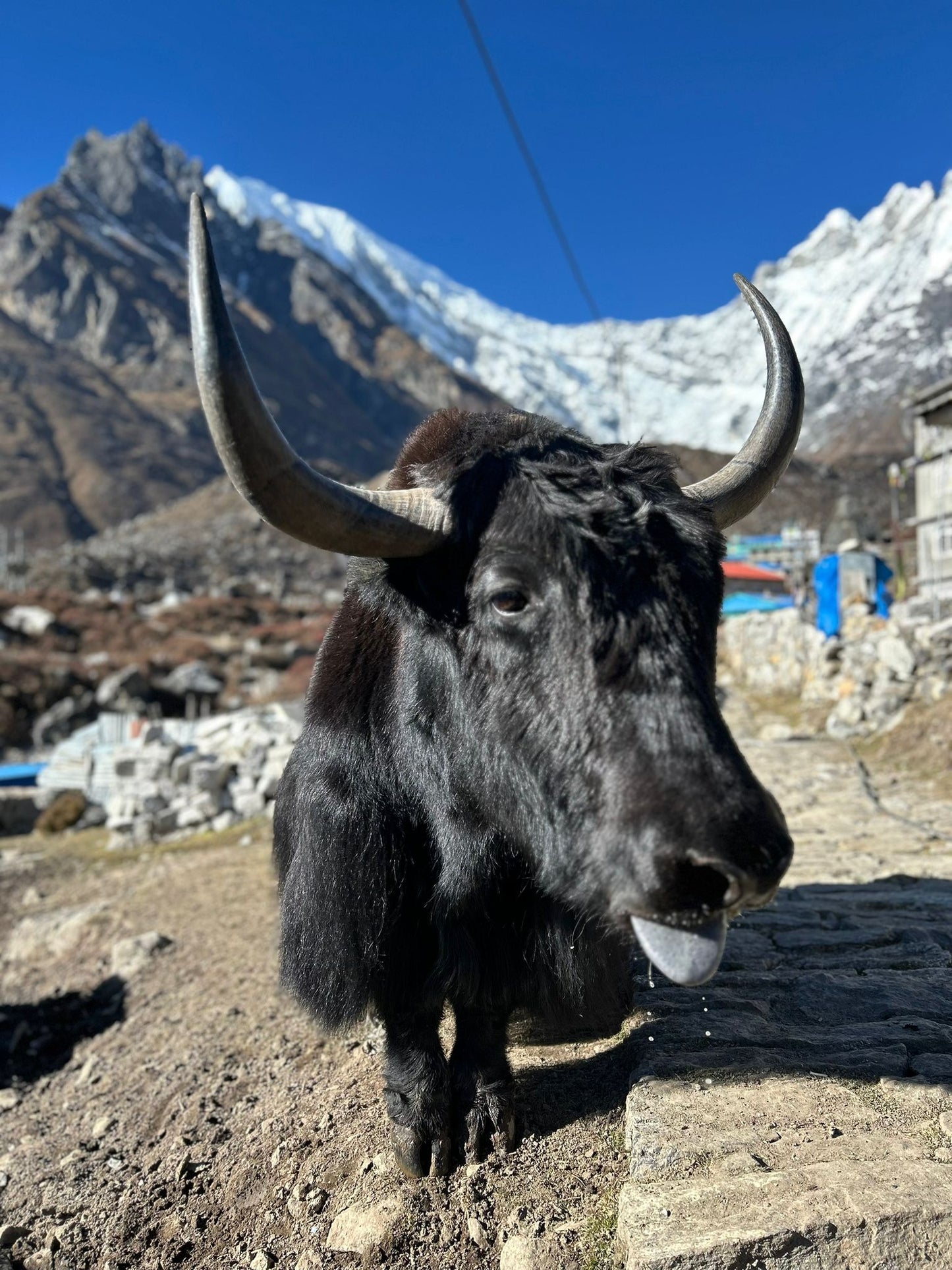 Expedícia Langtang: 11 dní v srdci Himalájí. DEPOZIT